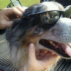 Meet your Posher, Mike